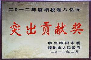 2012年度納稅超八億元突出貢獻獎